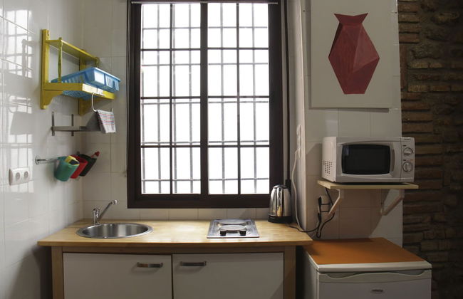 Golondrinas de la Alhambra - Foto 8