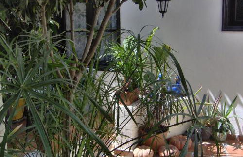 Kleines Einzelzimmer mit Meerblick - Foto 19