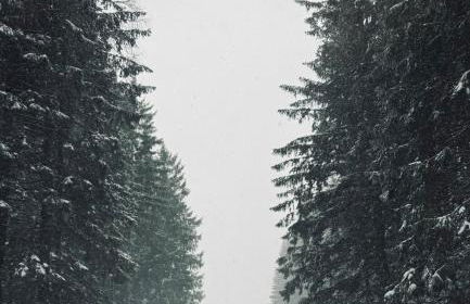 Dolomiti Haus - Immerso nelle Dolomiti - Photo 47