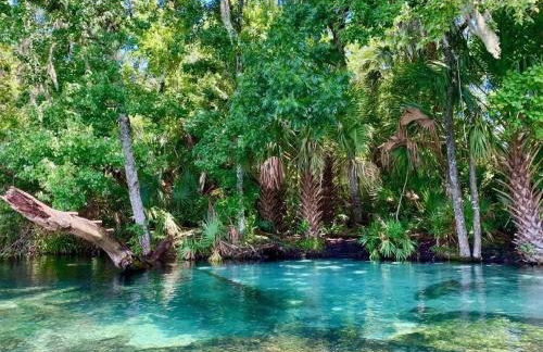 Rainbow River Springs Dunnellon - Foto 59