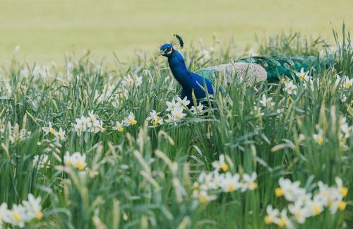 Mill Cottage at Broughton Sanctuary - Photo 18