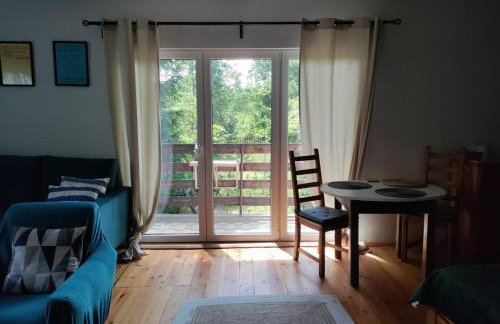 Widny Jaś zaprasza z psem nad jezioro na Kaszubach - Foto 1