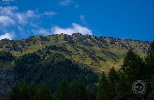 Agriturismo Malga Pontevecchio - Foto 14