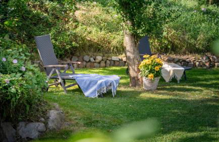 Ferienhof Schnurrum - Foto 69