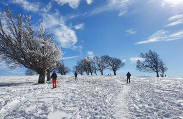 Landhaus-Apartment Feldbergblick - Foto 27