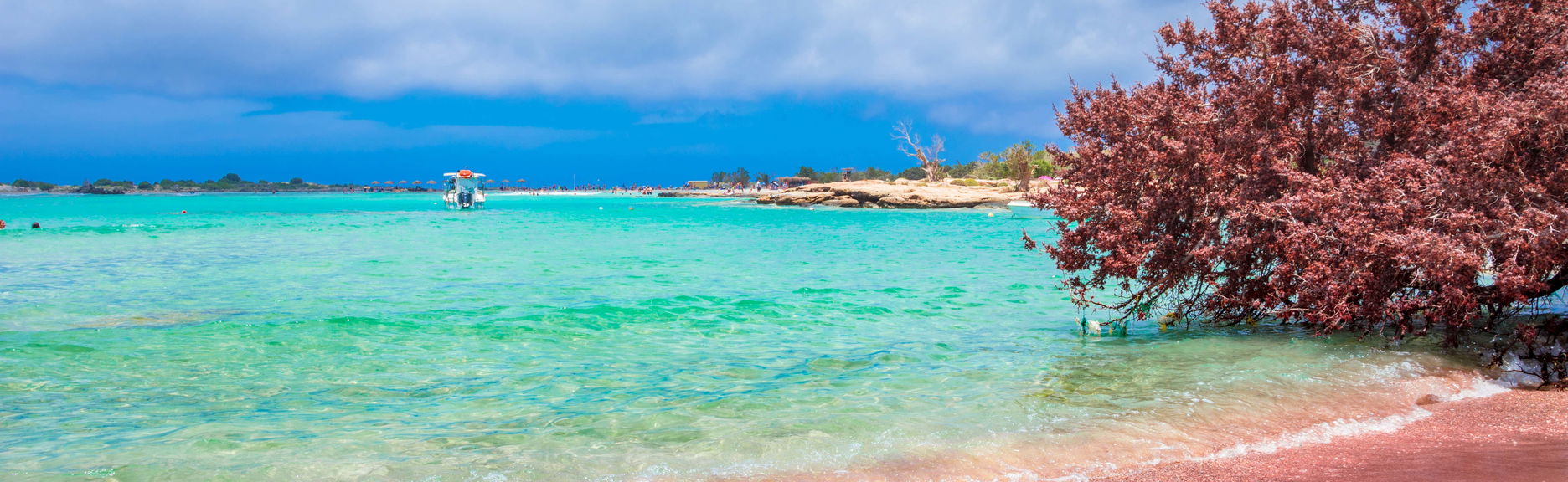 Excursion à la plage d'Elafonisi