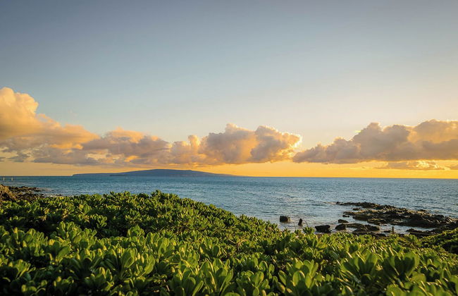 Pacific Shores - Foto 7