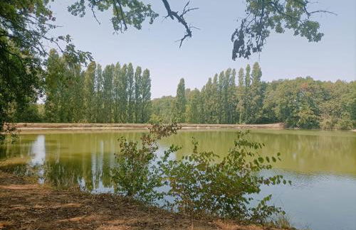 Maison avec piscine chauffée en résidence, 4 ou 5 pers, RDC, lac, nature et pêche - Foto 31