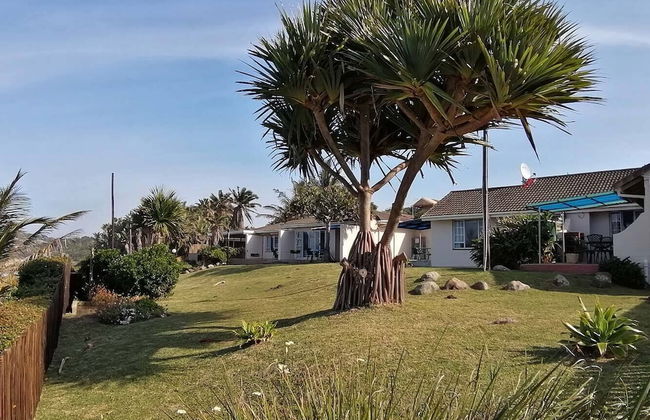 Southern Comfort - Starfish - Foto 16