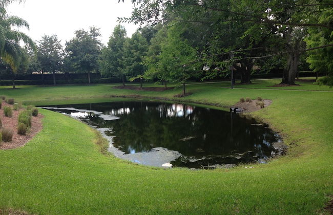 Lucaya Resort by FunQuest Vacation - Foto 43