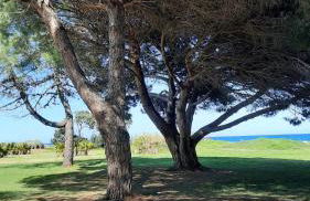 Location appartement les pieds dans l'eau, Résidence Aqua Linda à Poggio-Mezzana - Foto 45