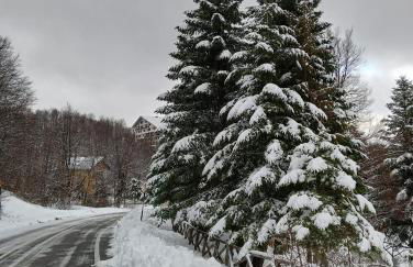 La Tana del Capriolo - Foto 29