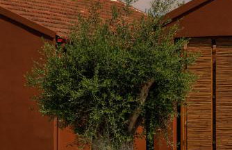 Lumora Suites - Foto 66