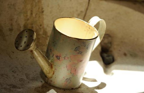 Apartments Vila Marija - Photo 59