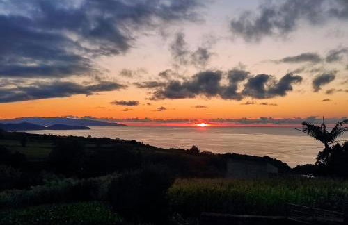 H2Viola & Spa - Photo 31