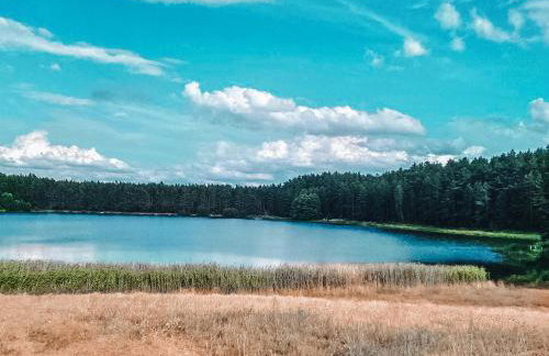 Lawendowy Poranek - Foto 16