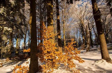 Blu Apartments - Foto 34