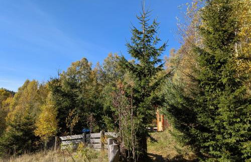 Hobbitówka - Foto 24