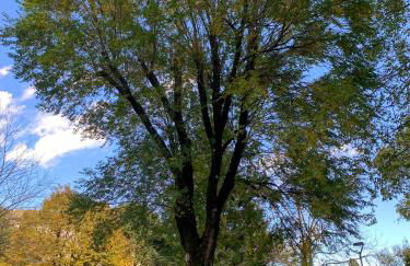 Casa Amadio - stile rustico comfort moderno - Foto 27