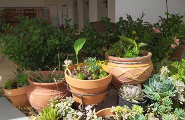 Luxury apartment in front of the Sea in Agia Triada - Foto 2