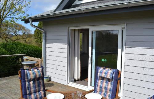 Sunny Skies - Photo 1