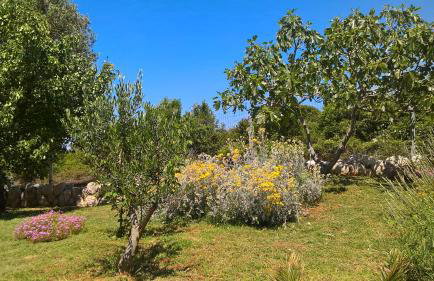 Apartments Krušvina - Foto 72