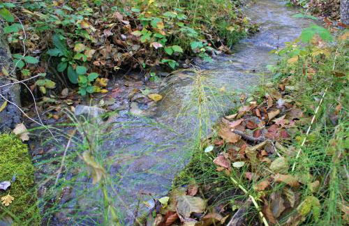 Agriturismo Malvista - Foto 15