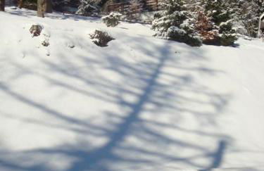 chalet la colline - Foto 4