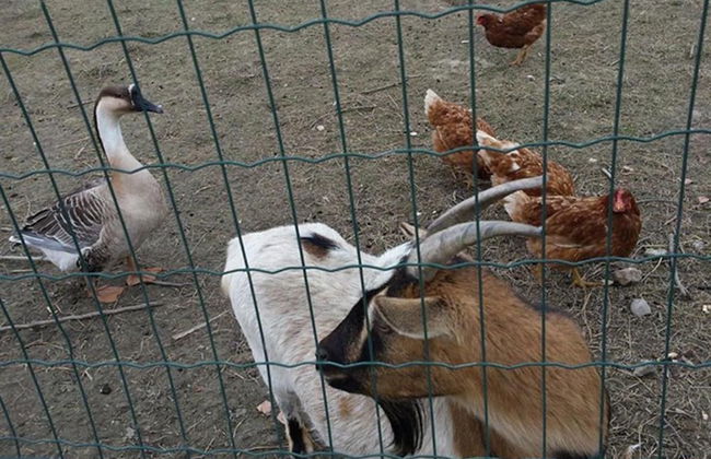 Agriturismo Quadrifoglio Relax - Foto 42