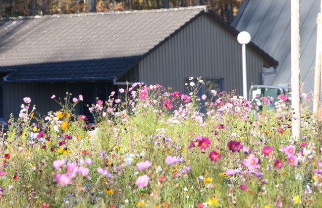 Ferienhaus Bude 87 - Foto 32