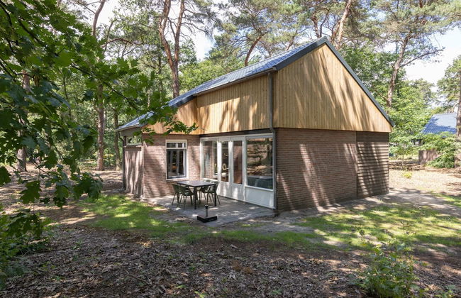 Bungalow in De Peel by Forest Retreat - Photo 20