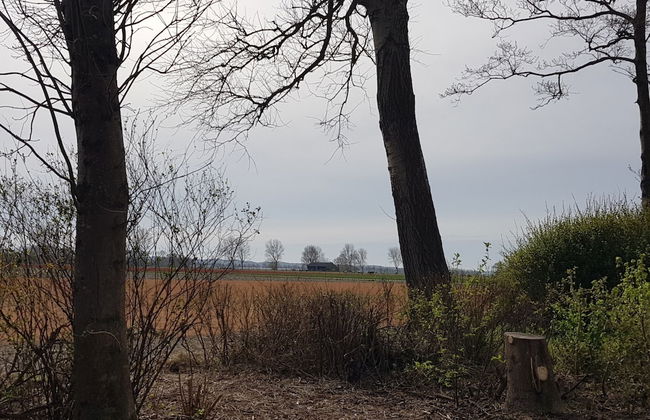 Holiday Home Tuitjenhorn Near Coast - Foto 20