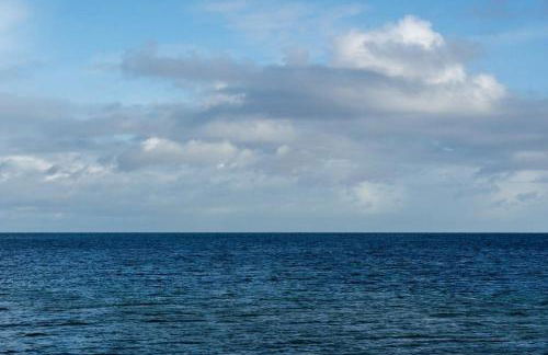 194 Fewo Dat LütjeHuus mit Dachterrasse im ersten Stock - Foto 24