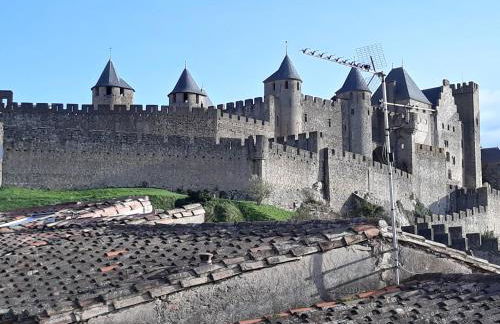 Au pied de la Cité Médiévale, piscine, vue extraordinaire, gîte La Trivala à Carcassonne - Photo 34