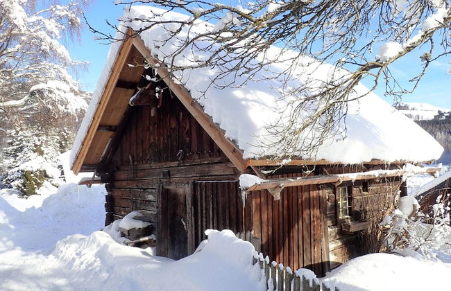 Farmhouse in Weisspriach Near Mountain Lakes - Foto 44