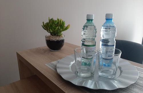 Apartamenty ,,Trzy Sosny'' Rymanów-Zdrój - Foto 19