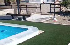 Casa la limosna - Photo 41