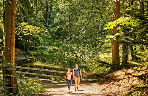 Schöne, große Ferienwohnung beim Steinhude Meer mit schnellem WLAN & Arbeitsplatz - Foto 43