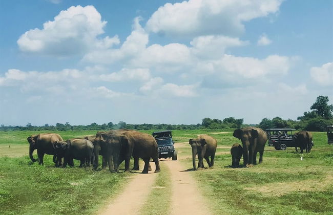 River Paradise Safari House with Cooking Class - Photo 48