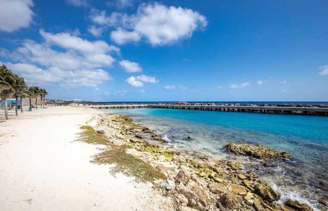 The Handelskade Crown A Historical Penthouse - Foto 30