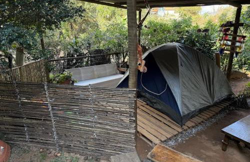 Casa da Árvore - Foto 8