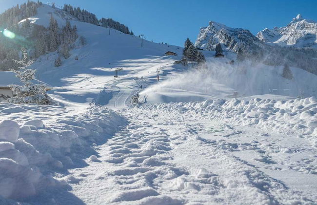 Berg Herz Grimmialp (Schwenden) - Foto 23