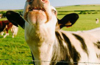 The Studio - Foto 14