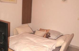 Homestay - Stilvolle Wohnung in Büdingen - Foto 12