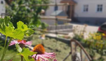 Nuibauers-Hof - Foto 2