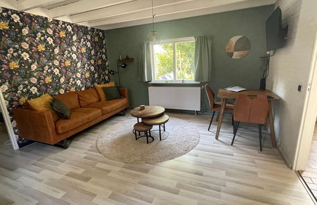 Holiday Home in Schoonloo With Balcony/terrace - Foto 72