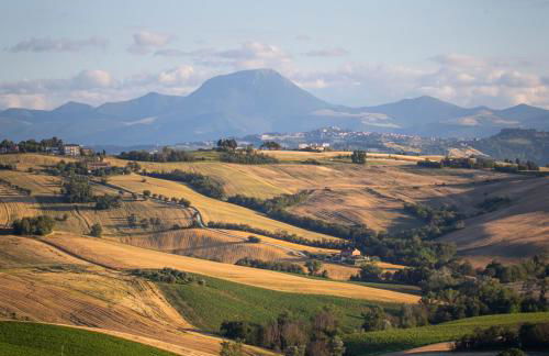 Tenuta San Marcello - Foto 56