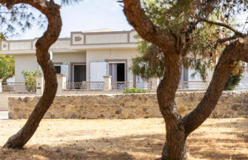 MC Studios - Foto 14