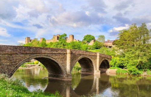 Shepherds Cabin at Titterstone - Foto 20