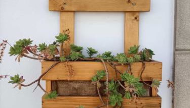 Casa de la Parra - Foto 3